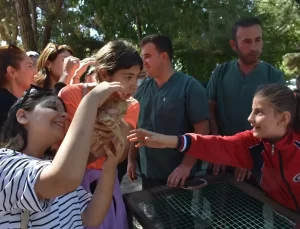 Gaziantep’te Hayvanları Koruma Günü Etkinliği
