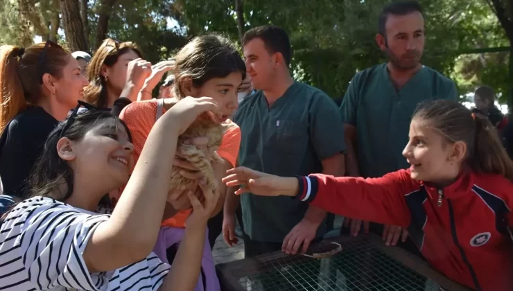 Gaziantep’te Hayvanları Koruma Günü Etkinliği