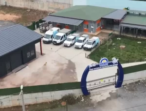Gebze’de 45 Hayvanın Ölümü Üzerine Soruşturma Başlatıldı