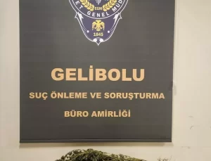 Gelibolu’da Uyuşturucu Operasyonu
