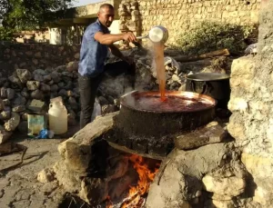 Gercüş’ün Organik Pekmezi Başladı