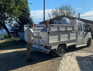 Giresun’da Zarar Veren Kokarca İçin İlaçlama