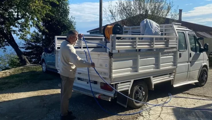 Giresun’da Zarar Veren Kokarca İçin İlaçlama