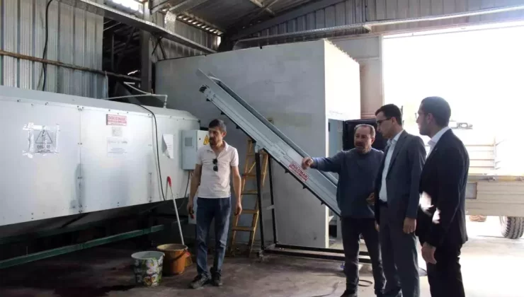 Gölpazarı Ceviz Tesisine Ziyaret