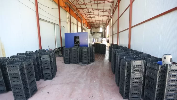 Gürsu’da Armuta Özel Kasa Üretimi Başladı