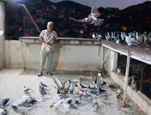 Hatay’da deprem bile güvercin besleme tutkusuna engel olamadı