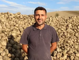 Havza’da Şeker Pancarı Hasadı Devam Ediyor