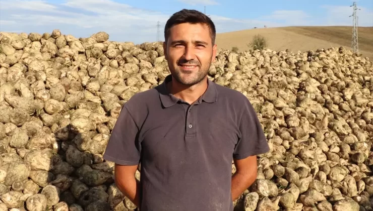 Havza’da Şeker Pancarı Hasadı Devam Ediyor