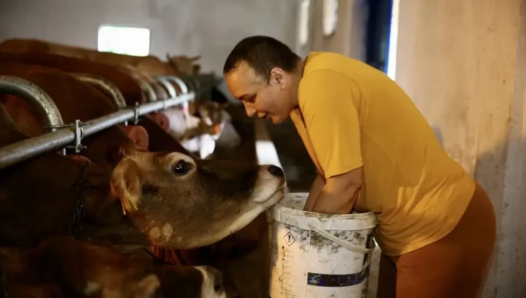 Hayvancılıkla Hayata Tutundu