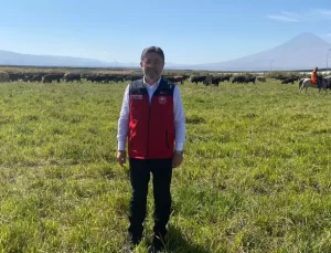 Hayvancılıkta Üretim Geliştirme Projesi