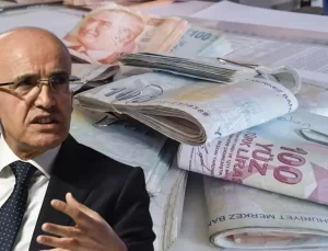 Hazine ve Maliye Bakanı Mehmet Şimşek: Ben de tasarruf yapıyorum