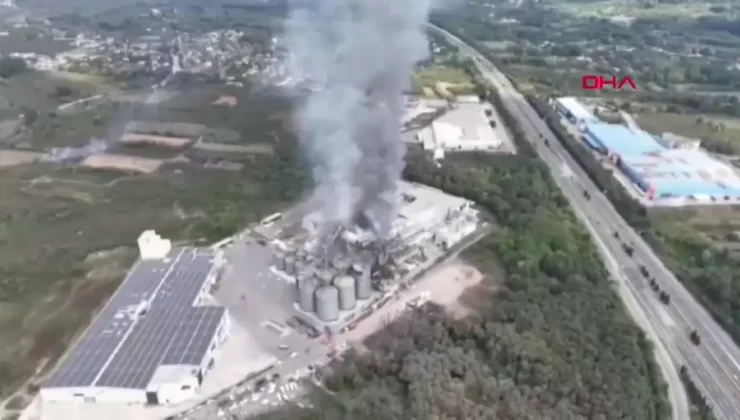 Hendek’te Makarna Fabrikası Patlaması: 5 Ölü