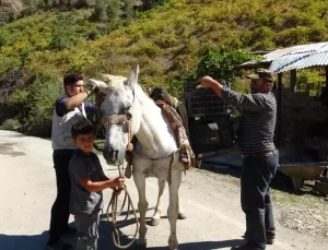Hizan’da Geleneksel Pekmez Yapımı