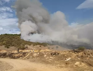 Hocalar’da Orman Yangını