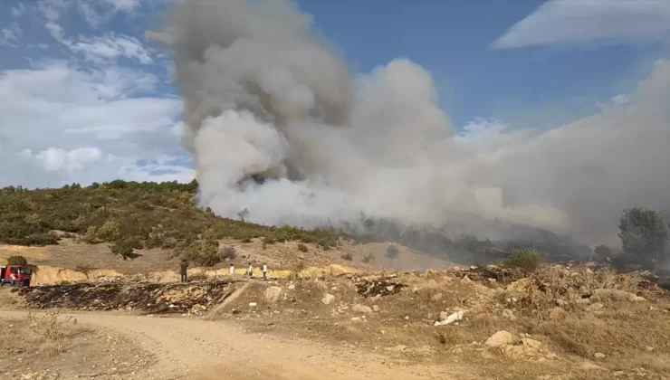 Hocalar’da Orman Yangını