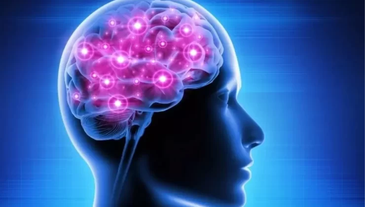 İki Dil Konuşmanın Faydaları