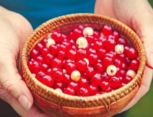 İngiliz doktorun favorisi: Ömrü 10 yıl uzatıyor