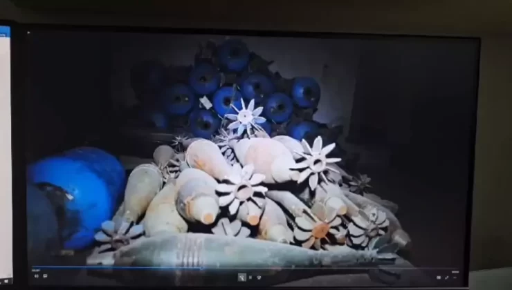 IŞİD Bomba İmalatçısı İstanbul’da Yakalandı