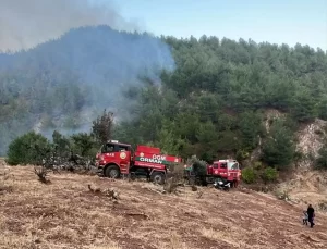İslahiye’de Orman Yangını Kontrol Altına Alındı
