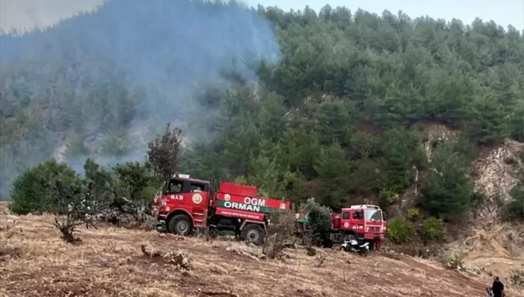 İslahiye’de Orman Yangını Kontrol Altına Alındı