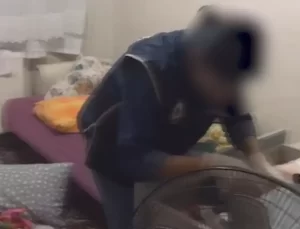 İstanbul’da PKK/KCK Operasyonu: 5 Gözaltı