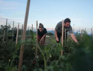 İstanbul’dan Bolu’ya Çiftçi İkili