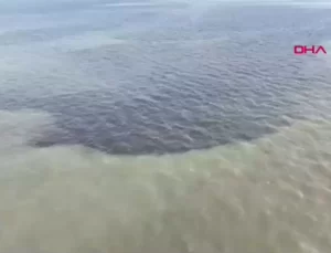 İzmir Körfezi İçin Acil Eylem Planı Açıklanıyor