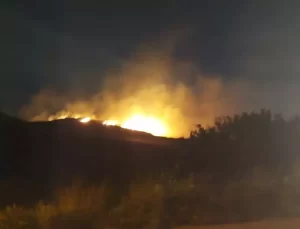 İzmir’de Orman Yangını