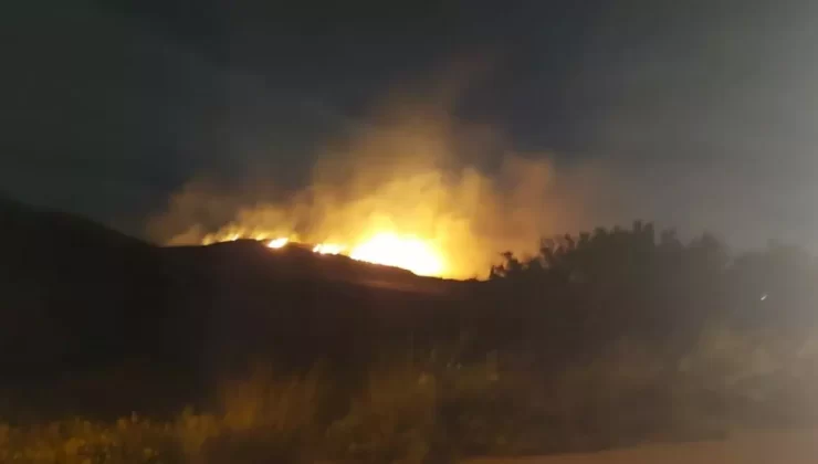 İzmir’de Orman Yangını