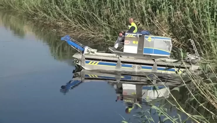 İzmir’de Sinek ve Haşereyle Mücadelede Dijital Çözüm