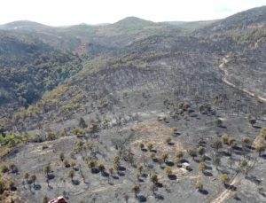 İzmir’de yangınında hasarın boyutu havadan görüntülendi