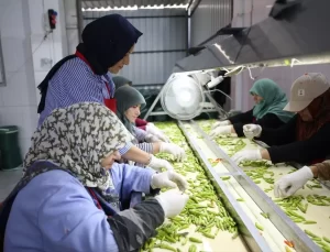 Kadın Ahiden Turşu İhracatına