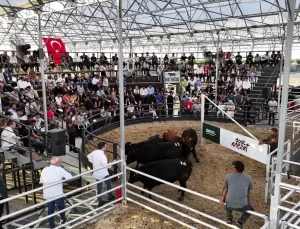Kadın Çiftçilere İndirimli Hayvan Satışı