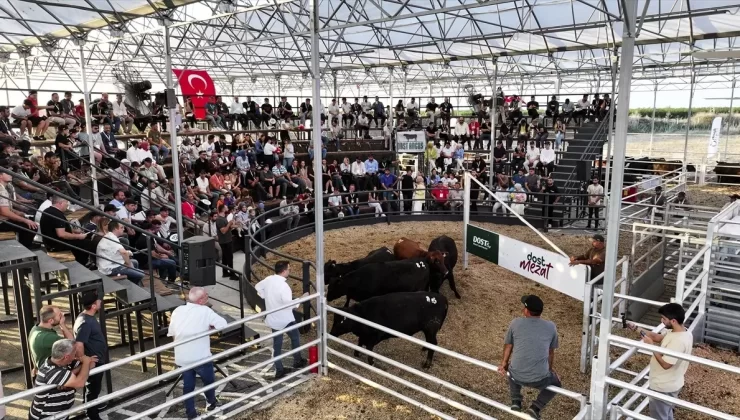 Kadın Çiftçilere İndirimli Hayvan Satışı