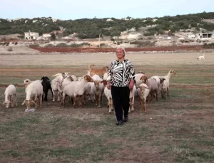Kadın Çoban Fatma’nın Başarı Hikayesi