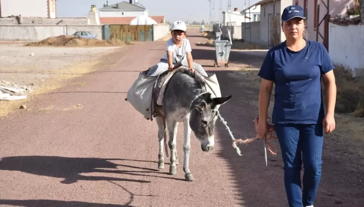 Kadın Girişimci Hayvancılıkta Hedef Büyütüyor