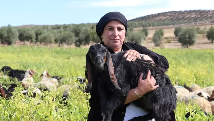 Kadın Muhtar Elif Demir’in Başarısı