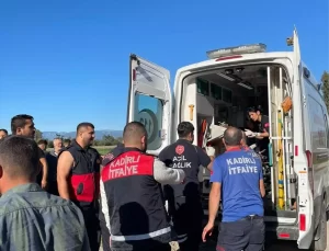 Kadirli’de ağaç devrildi, bir kişi hayatını kaybetti