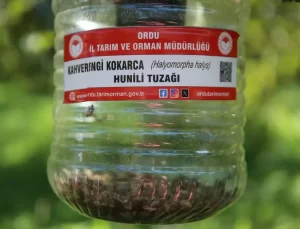 Kahverengi Kokarca ile Mücadele