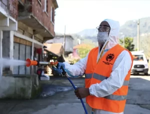 Kahverengi Kokarca ile Mücadele Başladı