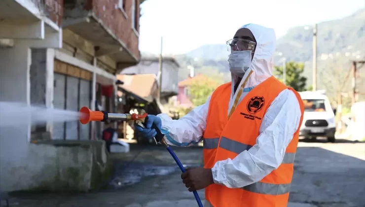 Kahverengi Kokarca ile Mücadele Başladı