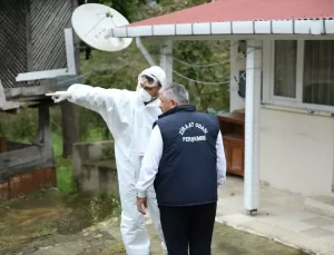 Kahverengi Kokarca ile Mücadele Başladı