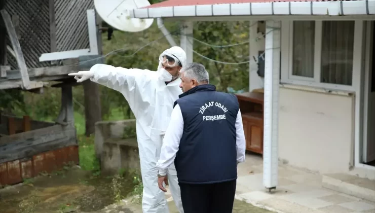 Kahverengi Kokarca ile Mücadele Başladı