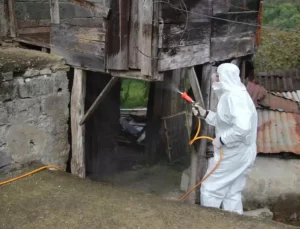 Kahverengi Kokarca İle Mücadele Başladı