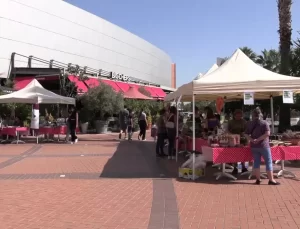 Karabağlar’da 12. Kavacık Üzüm Festivali Coşkusu