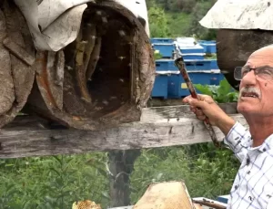 Karakovan Balı Hasadı Tamamlandı