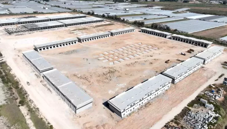 Kaş Kınık Toptancı Hal Kompleksi Projesi İlerlemesi