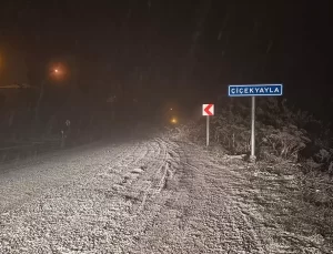 Kastamonu’da Kar Yağışı Başladı