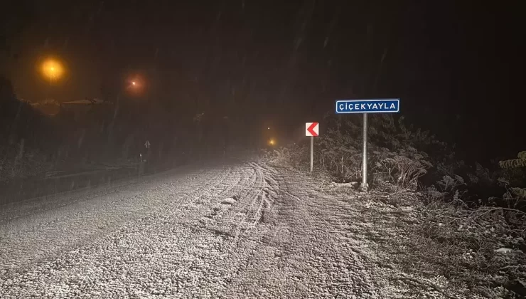 Kastamonu’da Kar Yağışı Başladı
