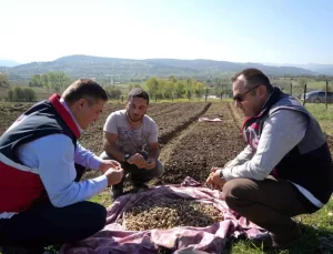 Kastamonu’da Salep Üretimi Artıyor